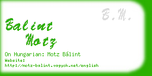 balint motz business card